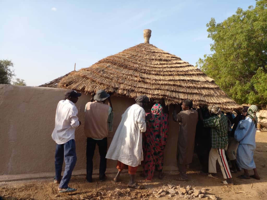 En 1998, Expérimentation de pépinière et de replantation de Celtis au niveau de l'école