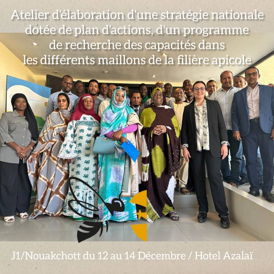 Atelier d'Élaboration d'une Stratégie Nationale Dotée de Plan d'Action et d'un Programme de Renforcement des Capacités dans les Différents Maillons de la Filière Apicole