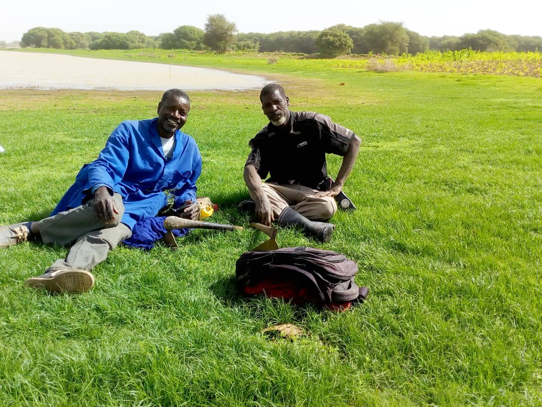 En 1996, Aménagement et reboisement du littoral de Walleré avec une cloture