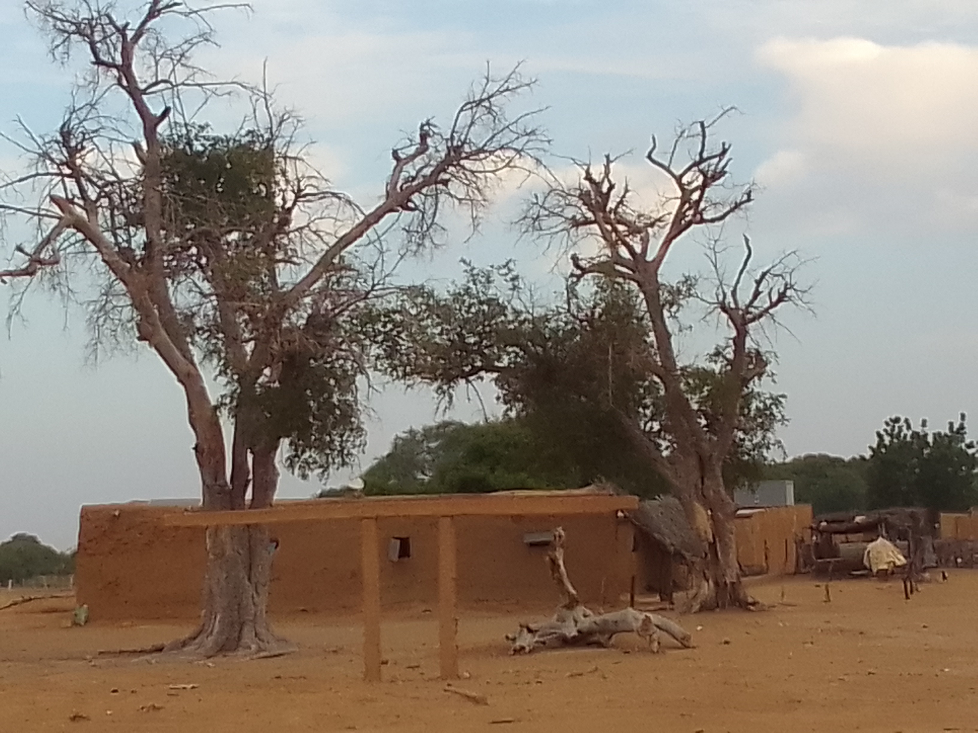 Historique de l'Association ADC Salaayel