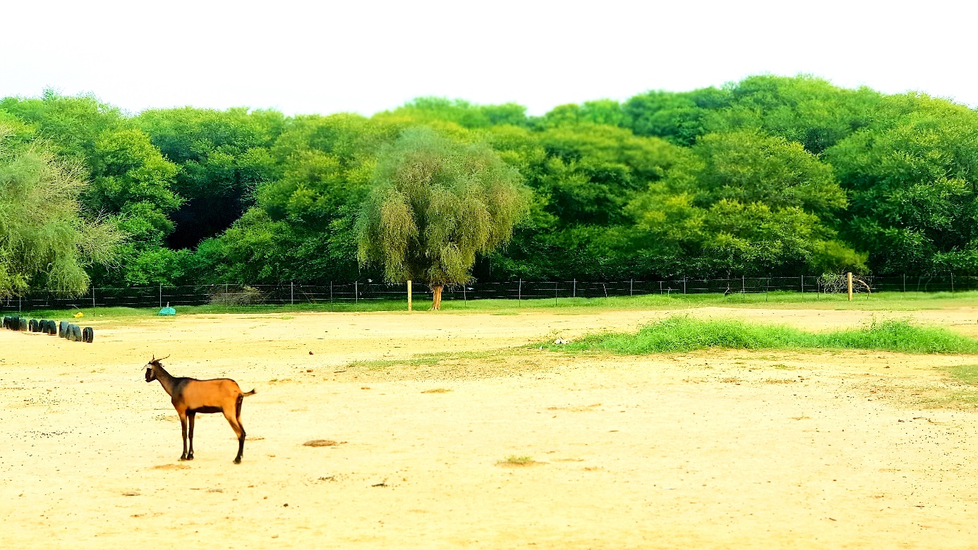 Notre centre de ressouces
