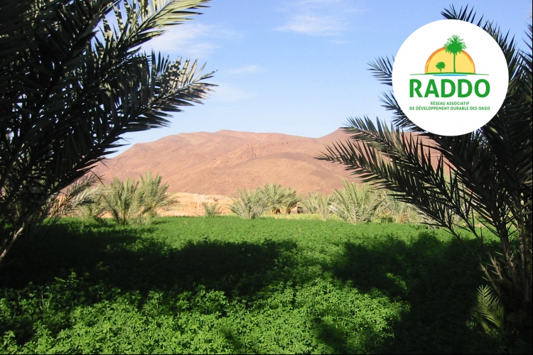 Historique et impacts des activités du Corps de la Paix (PC) en collaboration avec la Communauté de Loboudou